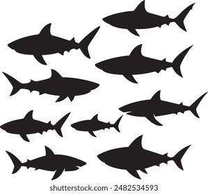 Set of shark silhouette collection white background, silhouette wild shark illustration, Set of different shark silhouette