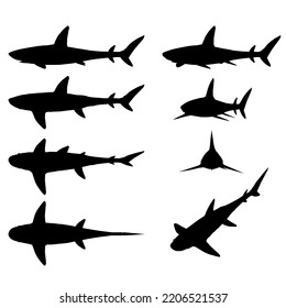 Set with shark silhouette in different positions isolated on white background. Vector illustration.