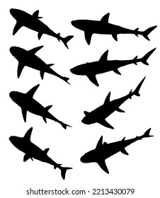 Set with shark silhouette in different positions isolated on white background. Isometric view. Vector illustration.