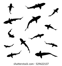 Set Of Shark, Silhouette Fish, Vector