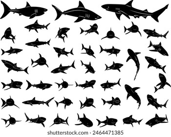 set of shark silhouettes in different poses on a white background vector