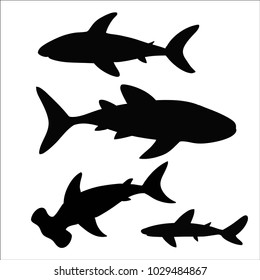 Set of shark types. Vector illustration