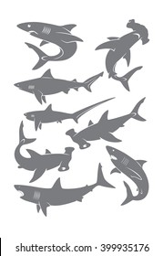 set of sharks