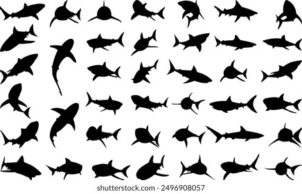 set of sharks in different angles silhouette, on a white background vector