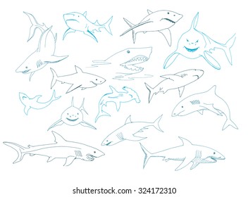Set of Sharks Hand Drawn