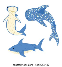 Set sharks on white background. Cartoon cute fishes white shark, bonnethead, whale shark in style doodle vector illustration.