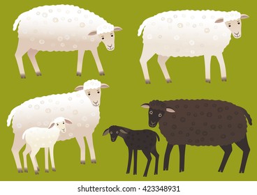 Set of sheep