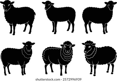set of sheep animals vector illustration
