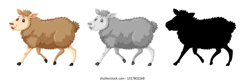 Set of sheep character illustration