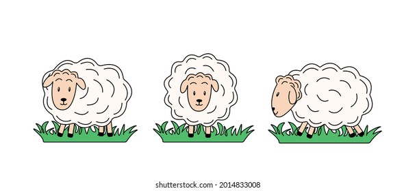 Set of sheep in different poses. Vector illustration of farm animals. Cartoon sheeps in a flat style
