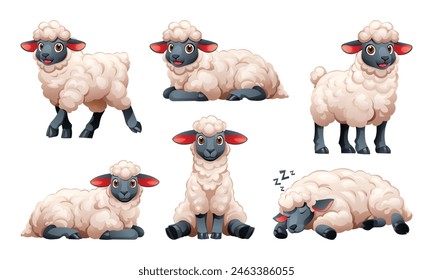 Set of sheep in different poses. Vector cartoon illustration