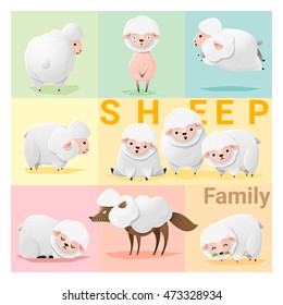 Set of Sheep family , vector , illustration