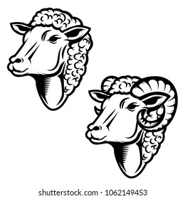 Set of sheep head illustration. Ram head. Design element for logo ,label, emblem, sign. Vector illustration