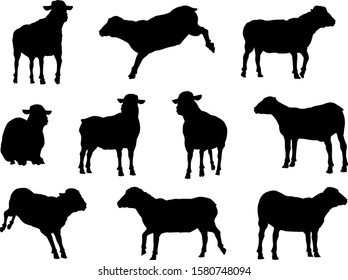  A set of sheep or lambs farm animals in silhouette