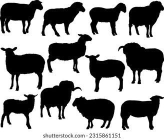 Set of Sheep Silhouette, Farm Animal svg