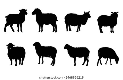 Set of Sheep silhouette vector illustrations. Collection of black sheep isolated on a white background. sheep silhouette