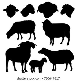 Set of sheep silhouettes on white background. Vector illustration