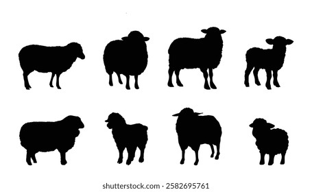 set of sheep silhouettes vector design illustration