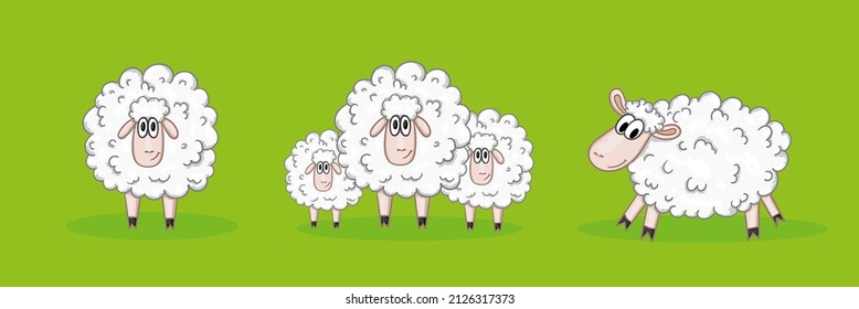 Set of sheeps in cartoon style.