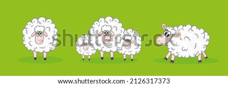Set of sheeps in cartoon style.
