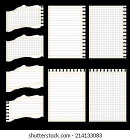 Set of sheets of torn paper and lined paper
