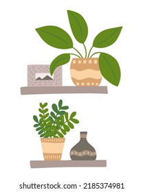 Set of shelf with home plants and home decor. Pucture and ceramic vase vector illustration