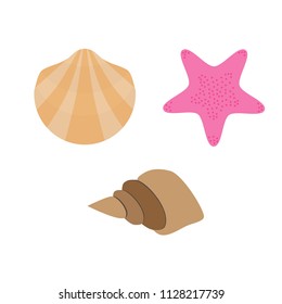 set of shell, conch and starfish vector illustration isolated on white background