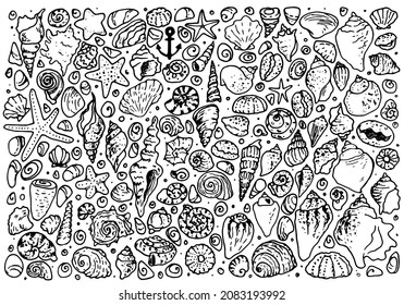 Un conjunto de doodles de concha, pez estrella y conchas de erizos de mar. Gran colección marina de piedras de concha de varias formas, contorno negro aislado sobre blanco para una plantilla de diseño de verano
