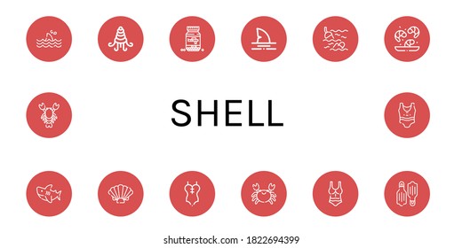 Set of shell icons. Such as Shark, Shellfish, Ammo, Sea, Shrimp, Shell, Swimsuit, Crab, Flippers, Lobster , shell icons