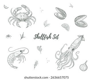 Conjunto de mariscos Vetor. mexilhão, camarão, lula, caranguejo, alho, herbáceas gráfico comida do mar, estilo de gravura antiga, vintage, Linear Sea Creatures. para desenhos de menu, para menus, marca de alimentos, embalagem