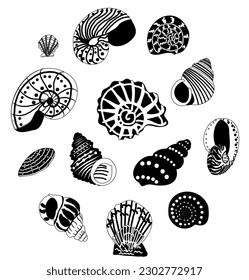 conjunto de conchas dibujadas en forma de doodle. Ilustración dibujada a mano. Composición redonda. Colección de conchas blancas y negras.