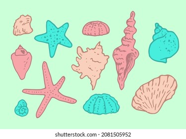 a set of shells and starfish in color.  hand-drawn shells, starfish, pink and turquoise isolated elements on green for a summer design template