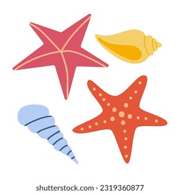 Set of shells and starfish. A cute hand-drawn illustration with a marine theme. Vector illustration with white isolated background. Postcard. 