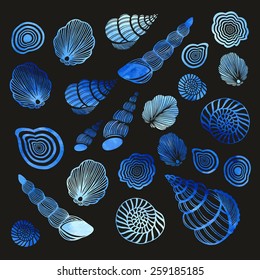 Set of shells ( watercolor, trace)