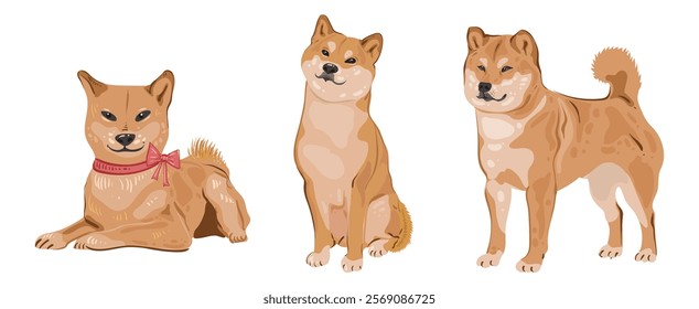 A set Shiba Inu dogs sits and stands. Red Japanese dog with a smile. Vector isolated image in a flat style for card or gift. Domestic animal. Detailed flat vector icon.