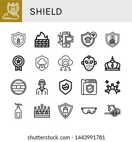 Set of shield icons such as Data protection, Protection, Firewall, Money transfer, Security, Badge, Shield, Safe, Hockey mask, Crown, Dentist, Lotion, Protective, Chariot , shield
