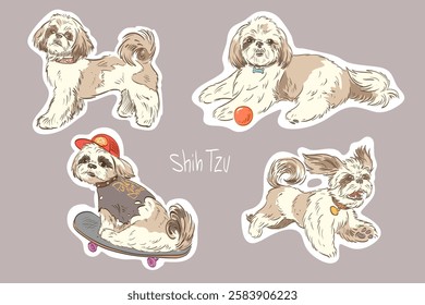 Set of shih tzu dogs sticker isolated vector art illustration