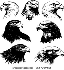 Set shilouette head eagle for Illustration or logos