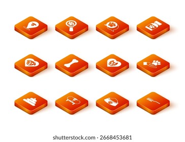 Conjunto de mierda, diente de gato, corazón con perro, hueso de perro, tazón de comida para mascotas, gato, cepillo de pelo para manos y animales icono de huella. Vector