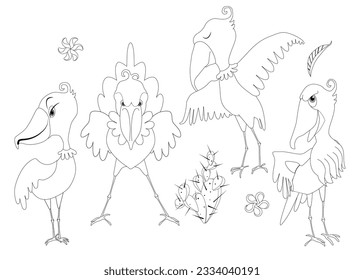 Set of Shoebill Storks. Bird shoebill vector illustration clip art coloring book