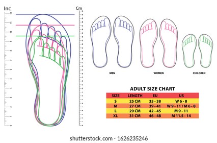 31 cm to shoe size
