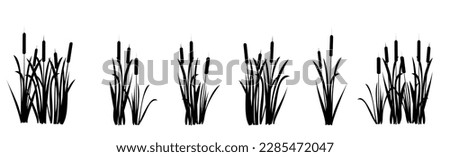 Set of shoots of reeds. Swamp landscape. View of the river bank. Silhouette picture. Isolated on white background. Vector.