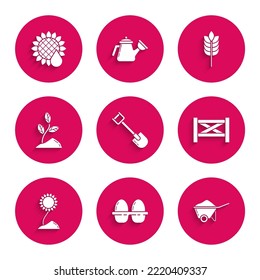 Set Shovel, Chicken egg in box, Wheelbarrow with dirt, Garden fence wooden, Sunflower, Sprout, Cereals rice, wheat, corn, oats, rye and  icon. Vector