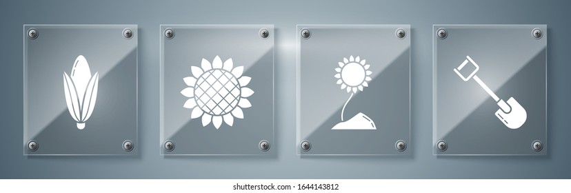 Set Schaufel, Sonnenblumen, Sonnenblumen und Mais. Viereckige Glasplatten. Vektorillustration
