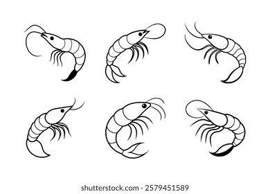 Set of shrimp art on white background