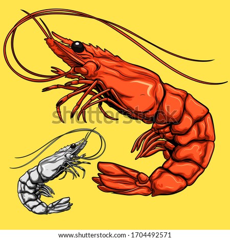 set of shrimp isolated for decoration.prawn isolated