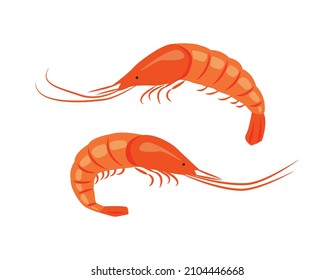 Grupo de camarones con caparazón. Mariscos dibujados a mano en el estilo de la llanura. Ilustración vectorial para el menú de restaurantes de pescado, para envasado en mercados y tiendas.
