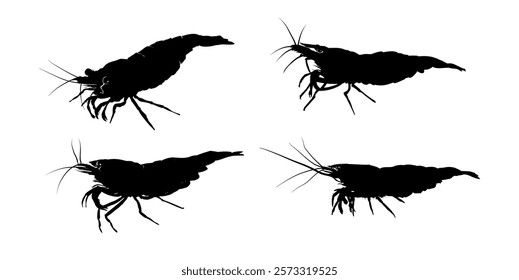  Set of shrimp silhouette, side view - vector illustration