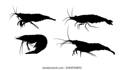 Set of shrimp silhouettes - vector illustration	