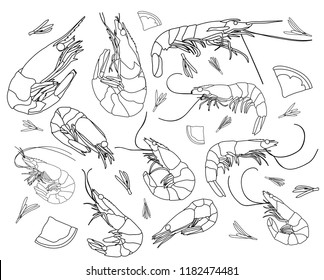 set of a shrimp sketch